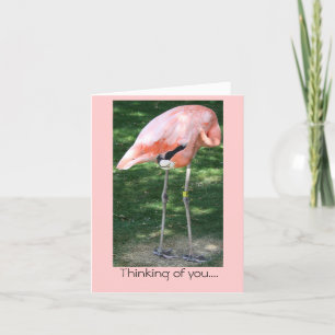 Flamingo pensando em você... Cartão