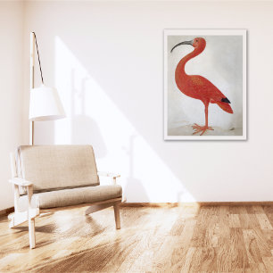 Flamingo - poster das belas artes