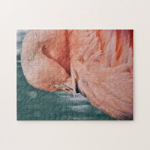 Flamingo rosa toma Quebra-cabeça Arco