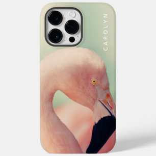 Flamingo Summer Tropical Flórida rosa