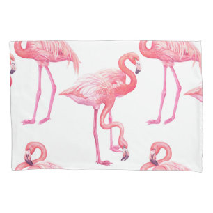 Flamingos
