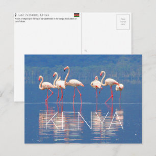 Flamingos no Lago Nakuru, Quênia Cartão Postal de 