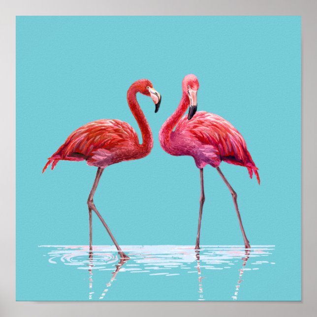 Flamingos Poster (Frente)
