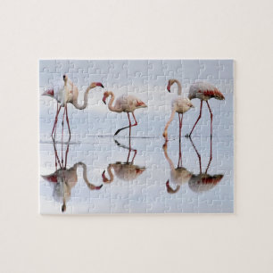 Flamingos Quebra-cabeça
