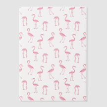 Flamingos Rosa Pássaros Tropicais Sobreposição de 