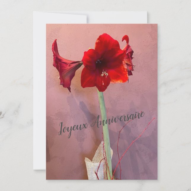 Fleur Amaryllis (Frente)