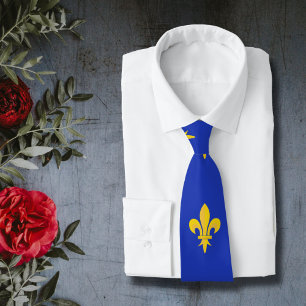 Fleur de Lis na Gravata Real Azul do Pescoço
