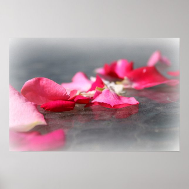 Floating Pink Rose Petals on Water Poster (Frente)