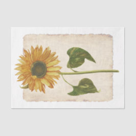 Flor 34 Papel Tecido de Decoupage de Girassol Amar