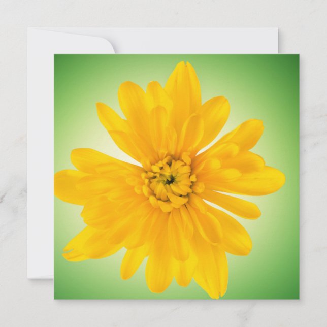 Flor amarela (Frente)