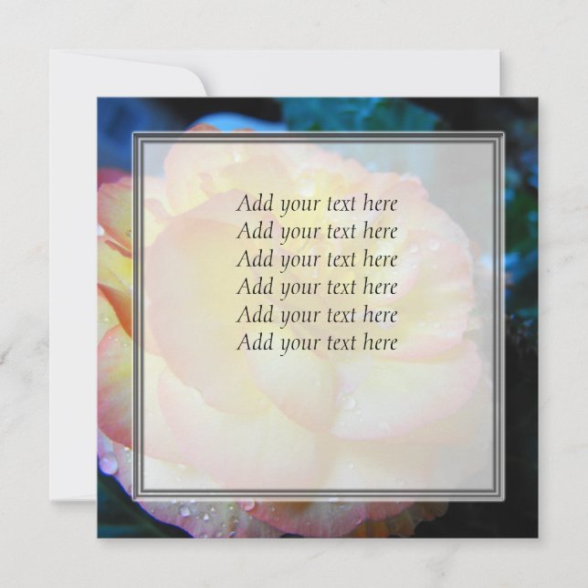 Flor amarela bonito da mendicidade (Frente)