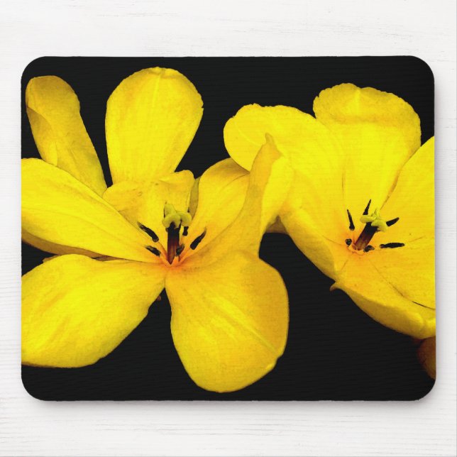 Flor amarela Mousepad (Frente)