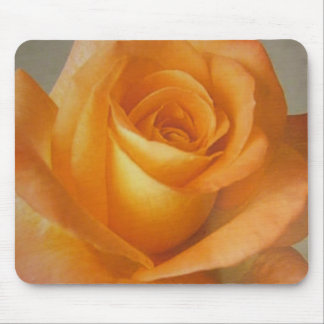 Flor amarelo alaranjado do rosa de Mousepad no