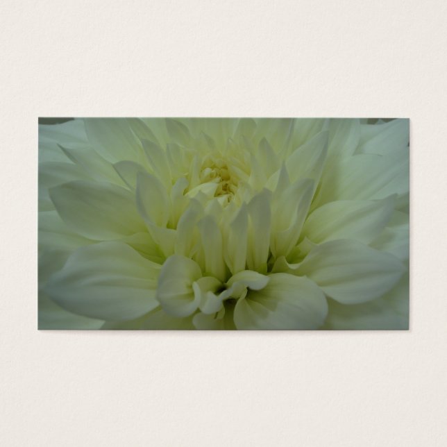 Flor Amarelo Dahlia (Frente)