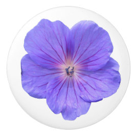 Flor azul botânica do gerânio em alguma cor