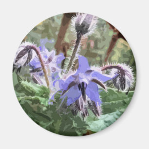 Flor Borage Star azul num íman de cozinha