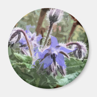 Flor Borage Star azul num íman de cozinha