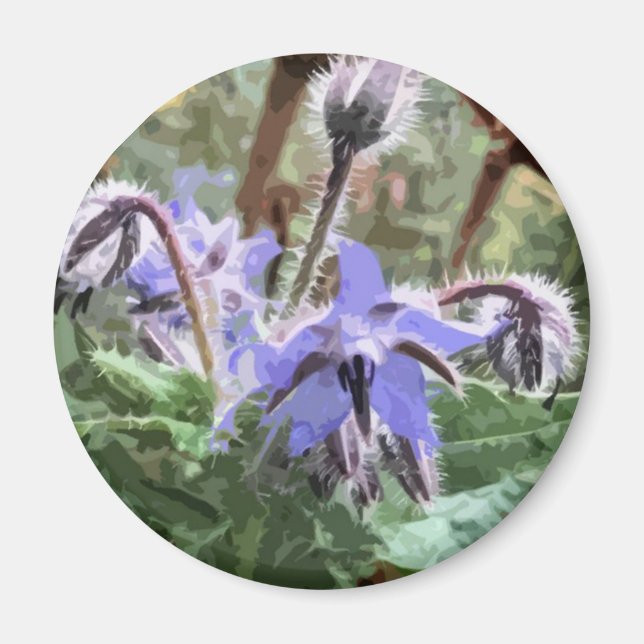 Flor Borage Star azul num íman de cozinha (Frente)