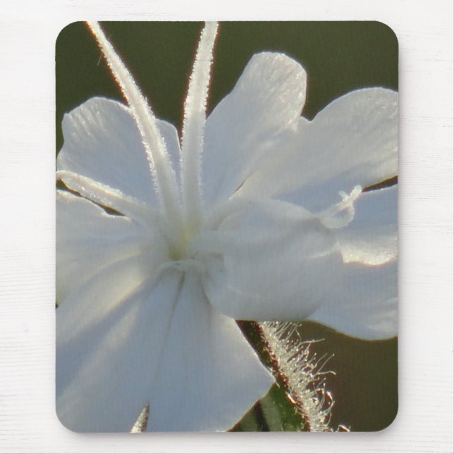 Flor branca brilhante do Mousepad (Frente)