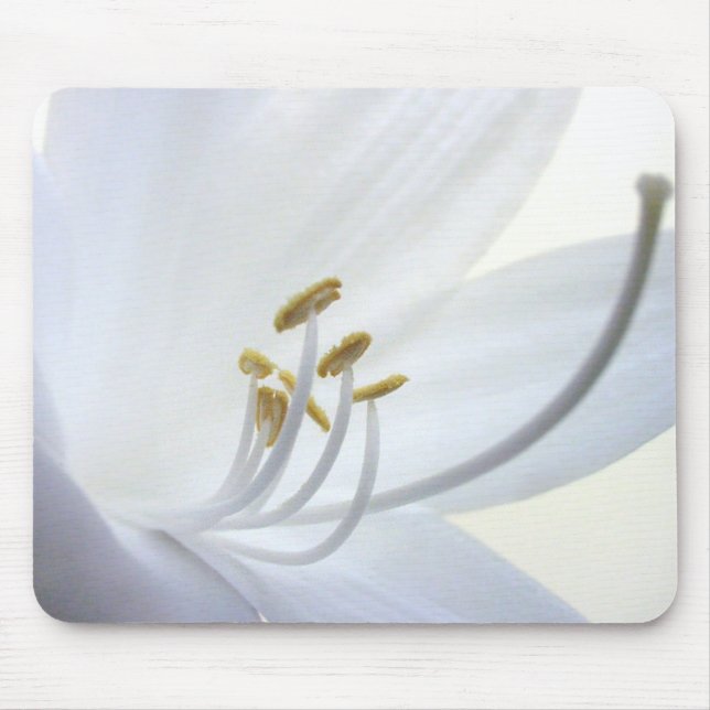 Flor branca Mousepad do Hosta (Frente)