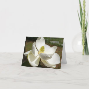 Flor branco de magia num cartões de agradecimentos