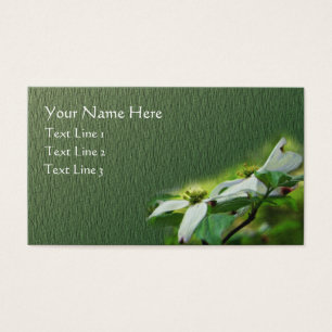 Flor Branco Flor Floral