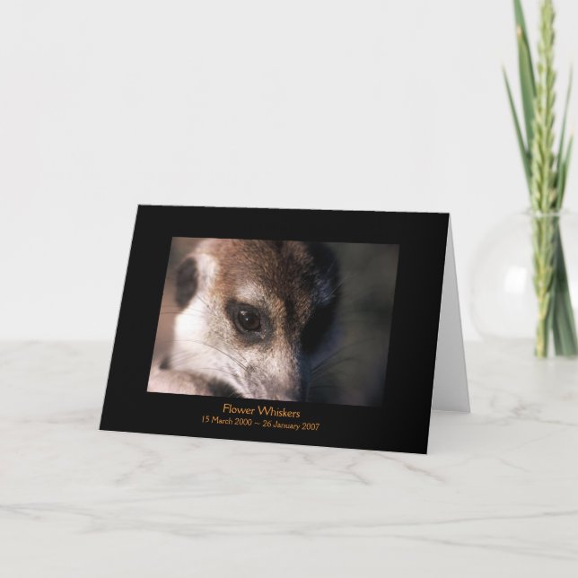 Flor - cartão das legendas (Frente)