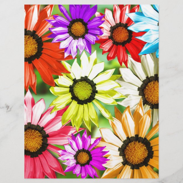 Flor colorida de Gerbera (Frente)