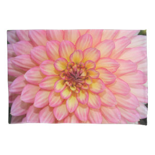 Flor cor-de-rosa da dália