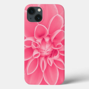 Flor cor-de-rosa da dália