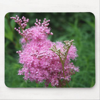 Flor cor-de-rosa original Mousepad