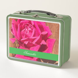 Flor Cor-de-rosa rosa rosa-rosa colorido