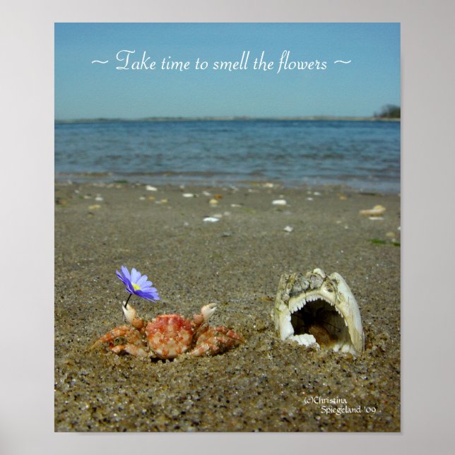 Flor Crab Ocean Poster (Frente)