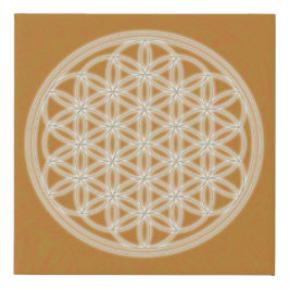 Flor da Vida - Laranja -