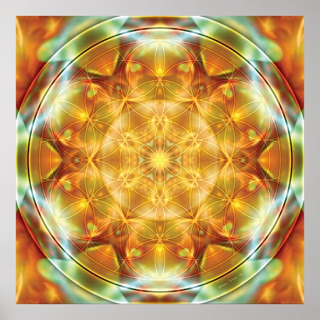 Flor da vida Mandala 16 Poster (Frente)
