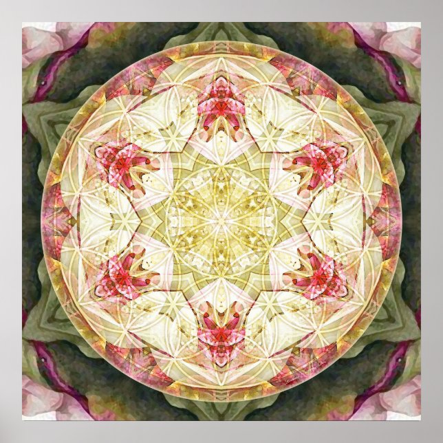 Flor da vida Mandala 6 Poster (Frente)