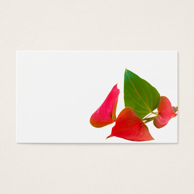 Flor de antraceu (Frente)