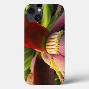 Flor de Banana