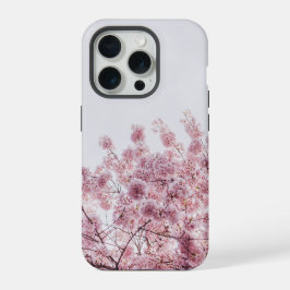 Flor de Blossom Rosa