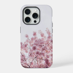 Flor de Blossom Rosa