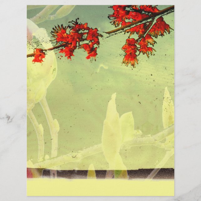 Flor de bordo e magnólia (Frente)