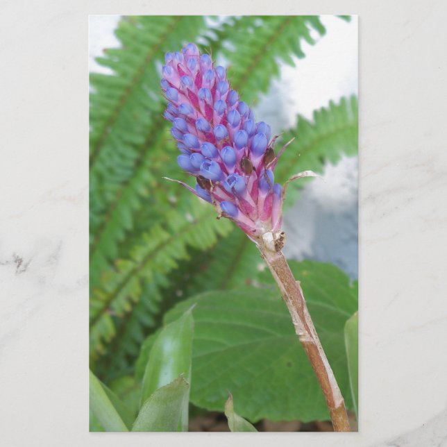 Flor de Bromelia de Cone Azul (Frente)