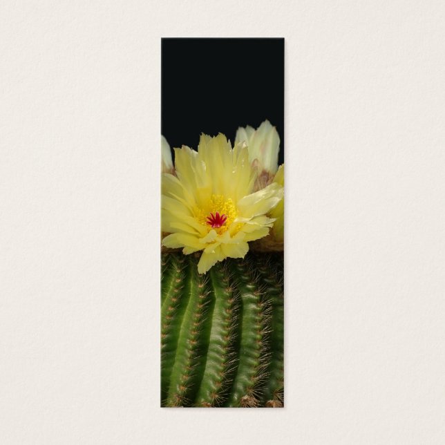 Flor de cacto amarelo (Frente)
