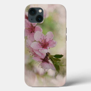 Flor de cereja