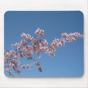 Flor de cerejeira Mousepad