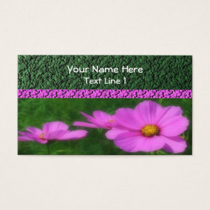Flor de Cosmos Cor-de-Rosa Brilhante