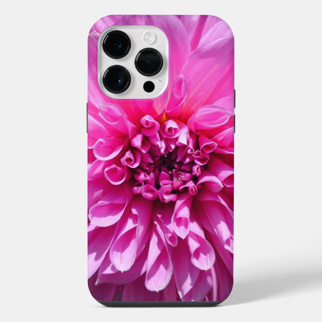 Flor de Dália Roxa Rosa (Verso)