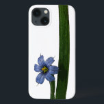 Flor de grama de olhos azuis e folha<br><div class="desc">Grama de olhos azuis (Sisyrinchium angustifolium) é um dos nossos pequenos tesouros de plantas nativas dos EUA. Ela cresce no meu pântano e tem as pequenas flores azuis como a que você vê aqui.</div>