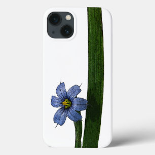 Flor de grama de olhos azuis e folha