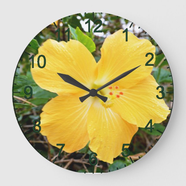 Flor de Hibiscus Amarelo-ouro, Relógio de Parede (Frente)